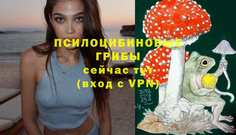 Псилоцибиновые грибы MAGIC MUSHROOMS  MEGA как зайти  Волоколамск 